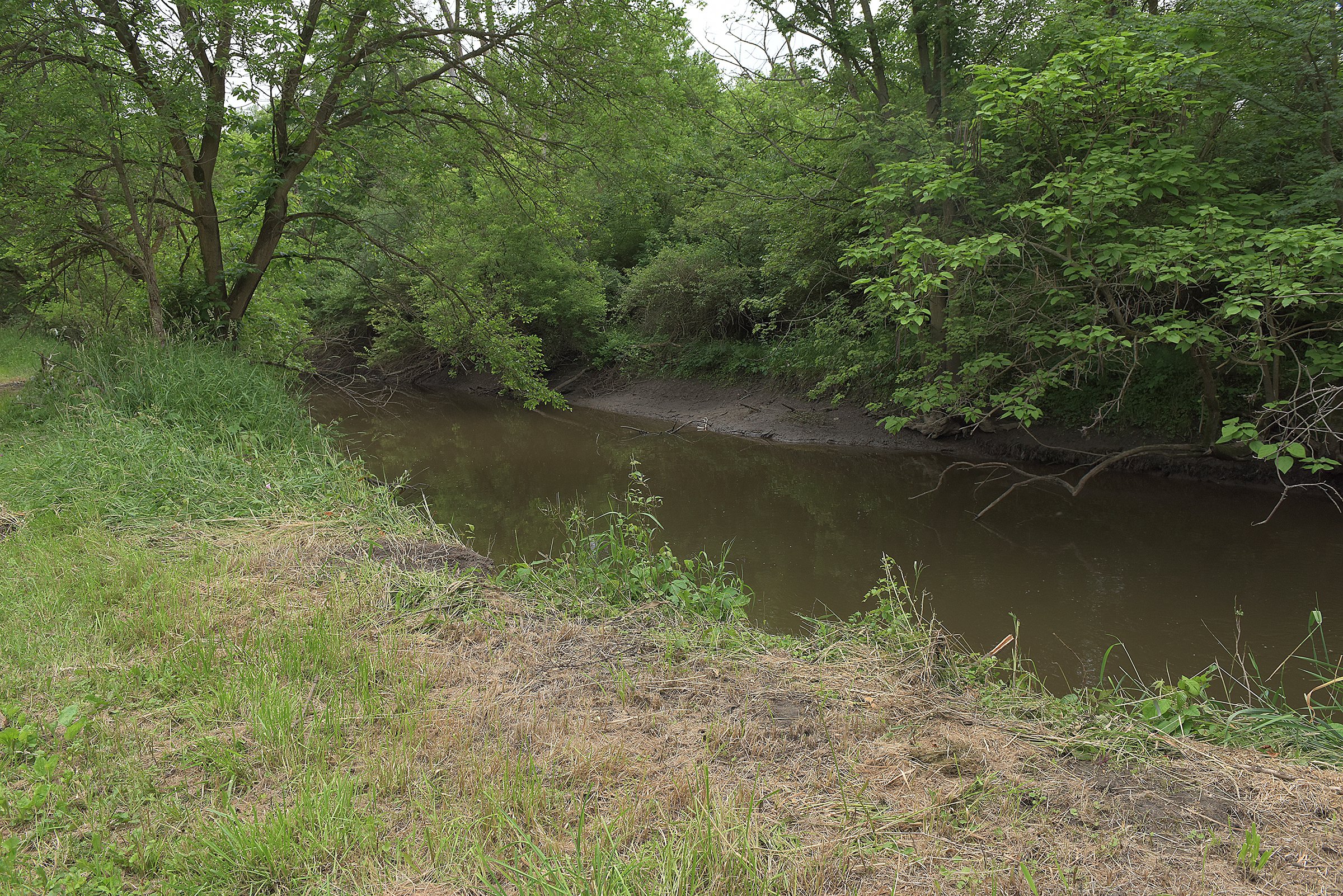 Lake County, Indiana farmland - LAND AUCTION - 147+/- ACRES OFFERED IN 3 TRACTS IN LAKE COUNTY, INDIANA